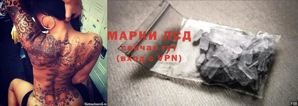 ПСИЛОЦИБИНОВЫЕ ГРИБЫ Магас