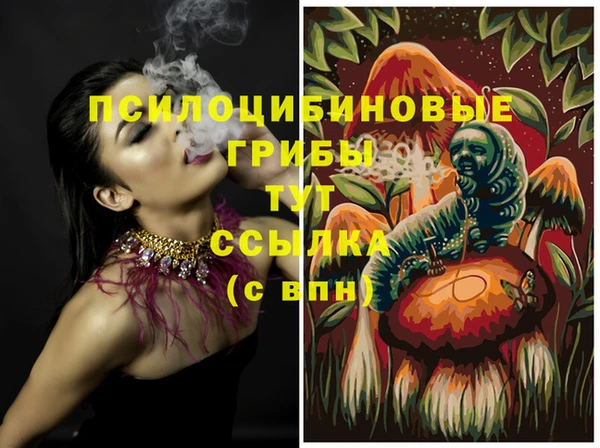 прущие крисы Магадан