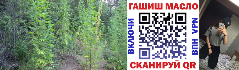 Дистиллят ТГК THC oil  omg ONION  Фрязино 